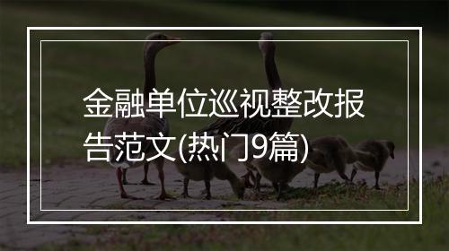 金融单位巡视整改报告范文(热门9篇)