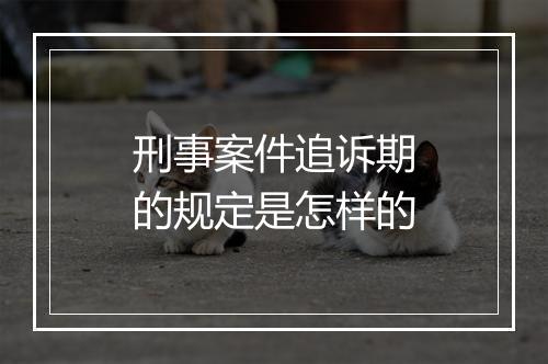 刑事案件追诉期的规定是怎样的