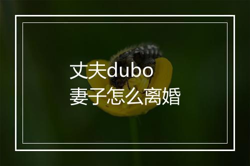 丈夫dubo妻子怎么离婚