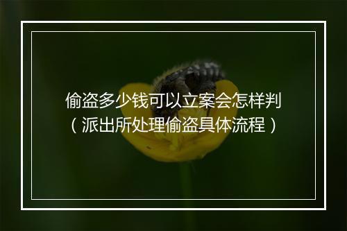 偷盗多少钱可以立案会怎样判（派出所处理偷盗具体流程）