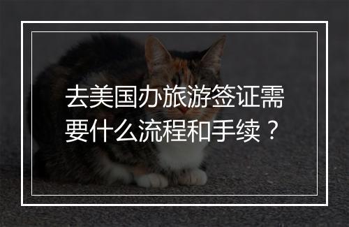 去美国办旅游签证需要什么流程和手续？
