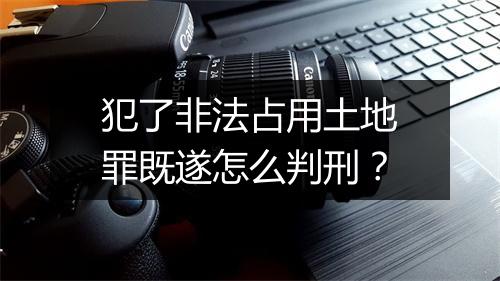 犯了非法占用土地罪既遂怎么判刑？