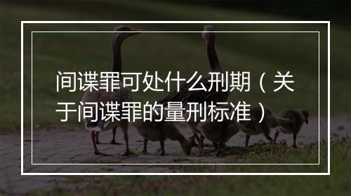 间谍罪可处什么刑期（关于间谍罪的量刑标准）