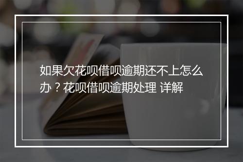 如果欠花呗借呗逾期还不上怎么办？花呗借呗逾期处理 详解