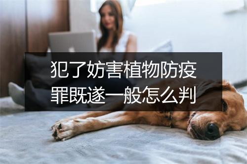 犯了妨害植物防疫罪既遂一般怎么判