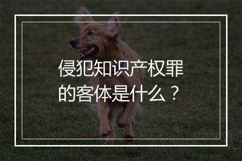 侵犯知识产权罪的客体是什么？