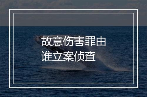 故意伤害罪由谁立案侦查