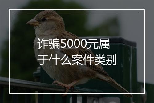 诈骗5000元属于什么案件类别