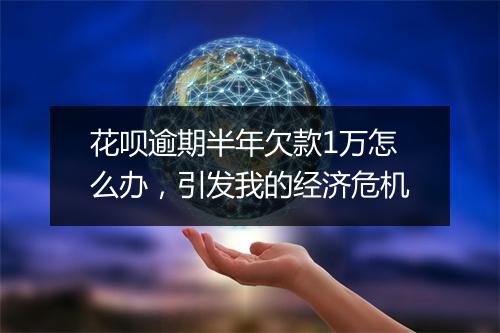花呗逾期半年欠款1万怎么办，引发我的经济危机