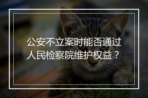 公安不立案时能否通过人民检察院维护权益？