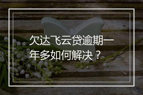 欠达飞云贷逾期一年多如何解决？