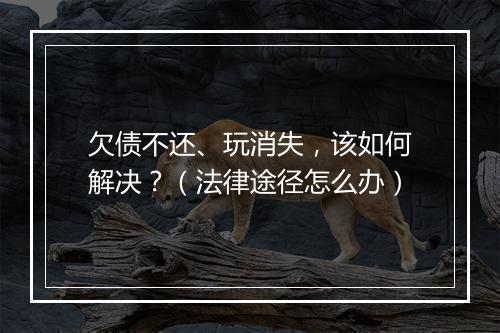 欠债不还、玩消失，该如何解决？（法律途径怎么办）