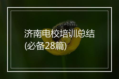 济南电校培训总结(必备28篇)