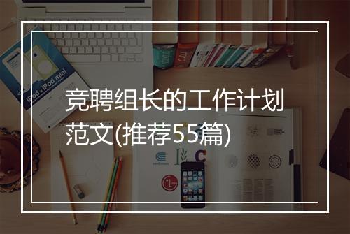 竞聘组长的工作计划范文(推荐55篇)