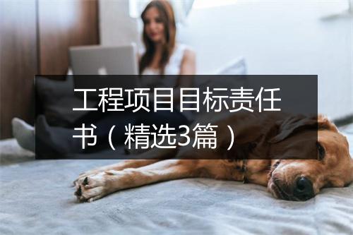 工程项目目标责任书（精选3篇）