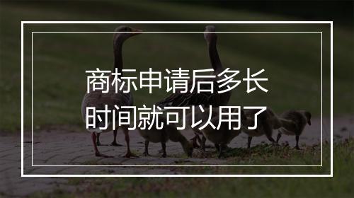 商标申请后多长时间就可以用了