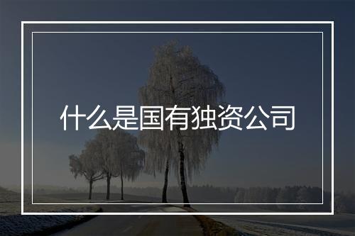 什么是国有独资公司