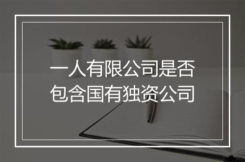 一人有限公司是否包含国有独资公司