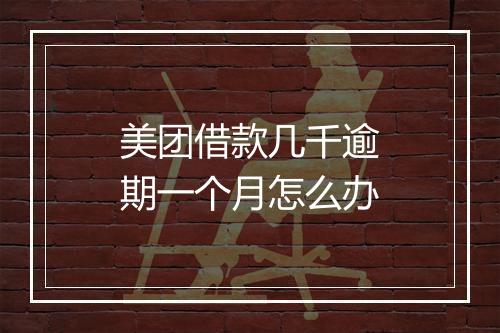 美团借款几千逾期一个月怎么办