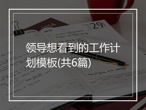 领导想看到的工作计划模板(共6篇)