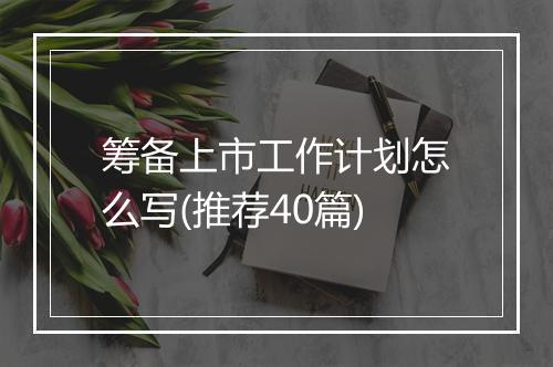 筹备上市工作计划怎么写(推荐40篇)