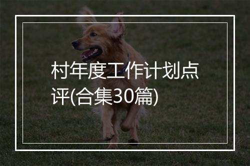 村年度工作计划点评(合集30篇)