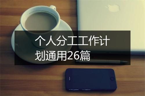 个人分工工作计划通用26篇