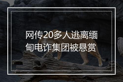 网传20多人逃离缅甸电诈集团被悬赏