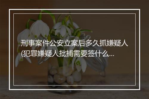 刑事案件公安立案后多久抓嫌疑人(犯罪嫌疑人批捕需要签什么资料)