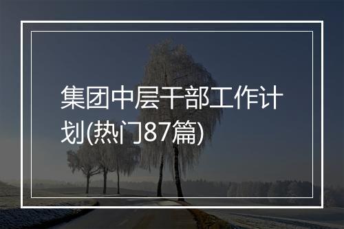 集团中层干部工作计划(热门87篇)