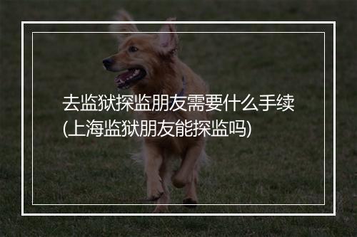 去监狱探监朋友需要什么手续(上海监狱朋友能探监吗)