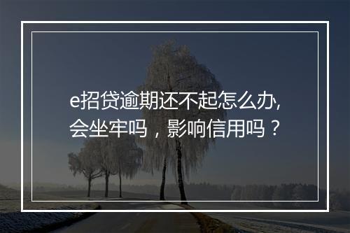 e招贷逾期还不起怎么办,会坐牢吗，影响信用吗？