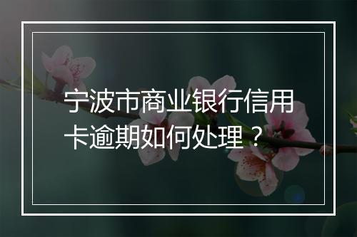 宁波市商业银行信用卡逾期如何处理？