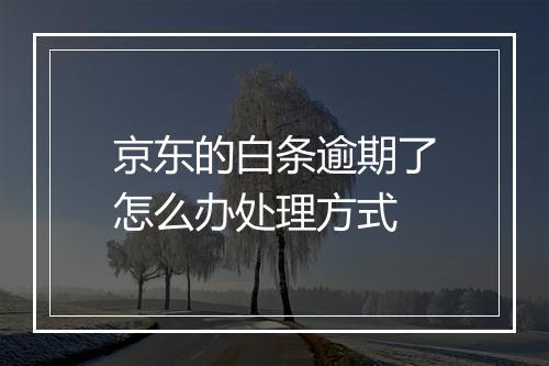 京东的白条逾期了怎么办处理方式