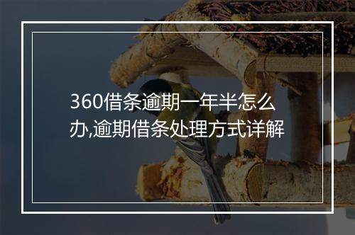 360借条逾期一年半怎么办,逾期借条处理方式详解