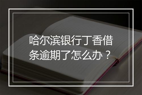 哈尔滨银行丁香借条逾期了怎么办？