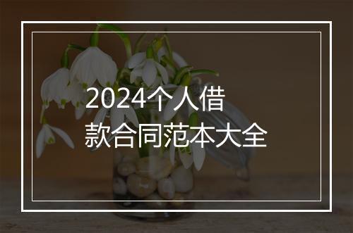2024个人借款合同范本大全