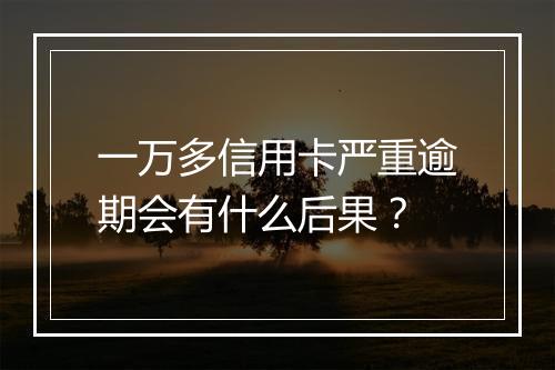 一万多信用卡严重逾期会有什么后果？