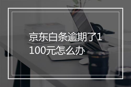 京东白条逾期了1100元怎么办