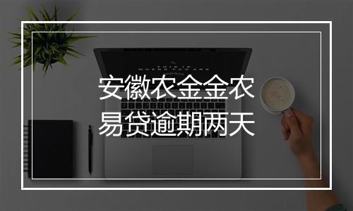 安徽农金金农易贷逾期两天