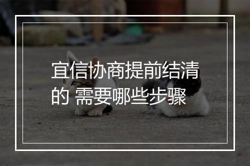 宜信协商提前结清的 需要哪些步骤