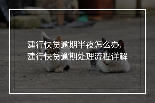 建行快贷逾期半夜怎么办,建行快贷逾期处理流程详解