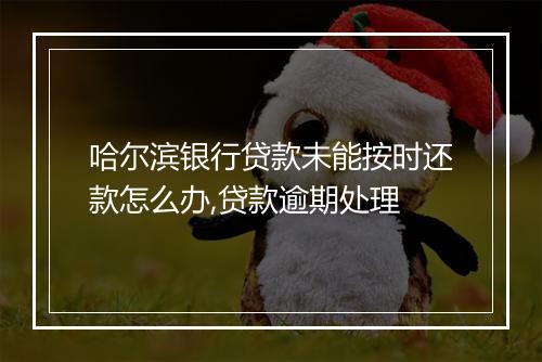 哈尔滨银行贷款未能按时还款怎么办,贷款逾期处理
