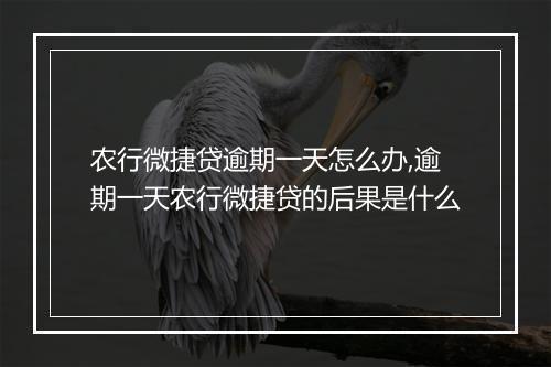 农行微捷贷逾期一天怎么办,逾期一天农行微捷贷的后果是什么