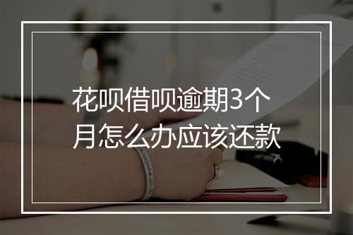 花呗借呗逾期3个月怎么办应该还款