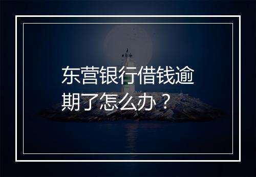 东营银行借钱逾期了怎么办？