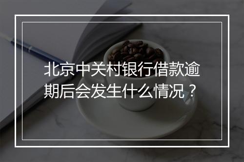 北京中关村银行借款逾期后会发生什么情况？