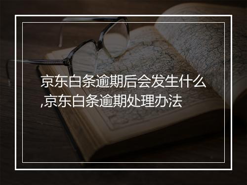 京东白条逾期后会发生什么,京东白条逾期处理办法