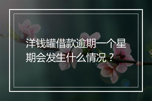 洋钱罐借款逾期一个星期会发生什么情况？