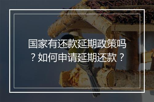国家有还款延期政策吗？如何申请延期还款？